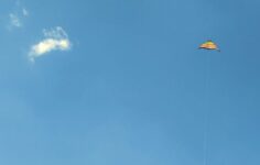 Black Kite and Carahsoft partner