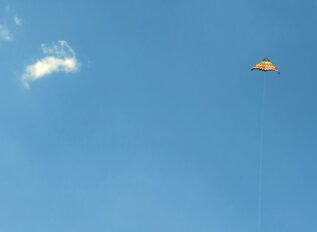 Black Kite and Carahsoft partner