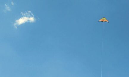 Black Kite and Carahsoft partner