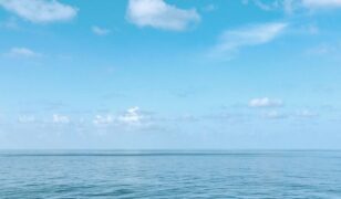 Oracle unveils air-gapped offering for classified workloads