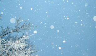 Snowflake acquires Crunchy Data
