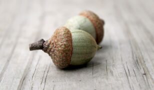 Redwire releases Acorn 2.0