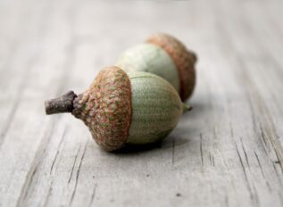 Redwire releases Acorn 2.0