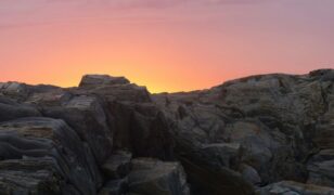 DARPA launches RoQS phase 1