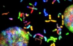 Navy to host TOEE 26 events