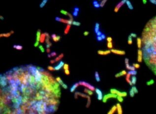 Navy to host TOEE 26 events