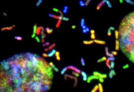 Navy to host TOEE 26 events