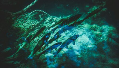 NSWC Crane issues Silent Swarm 2026 notice