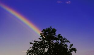 Air Force seeks HSI spectrometer