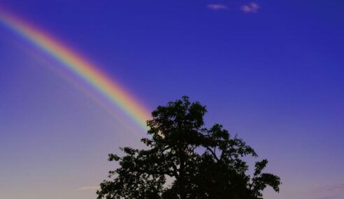 Air Force seeks HSI spectrometer