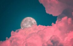 NGA releases Endor RFI