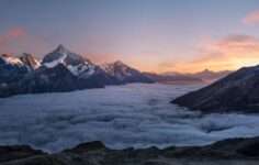 NTS acquires Vidterra