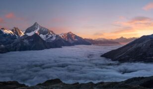 NTS acquires Vidterra