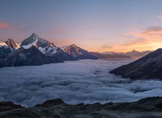 NTS acquires Vidterra