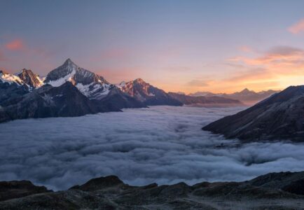 NTS acquires Vidterra