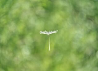 IonQ to acquire Seed Innovations