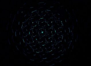 TAM-C unveils private intelligence platform