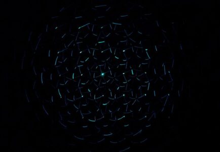 TAM-C unveils private intelligence platform