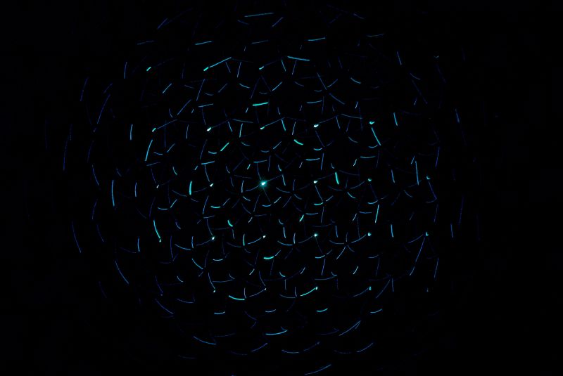 TAM-C unveils private intelligence platform