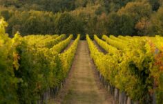 DARPA releases Bordeaux program solicitation