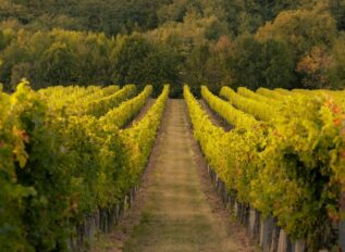 DARPA releases Bordeaux program solicitation