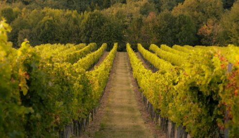 DARPA releases Bordeaux program solicitation