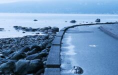 Lastwall and Carahsoft partner