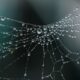 Telos wins ONI contract