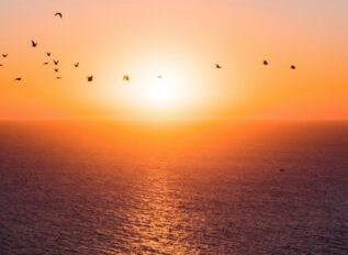 C-UAS Solutions: Smart Technologies and Mitigation Strategies