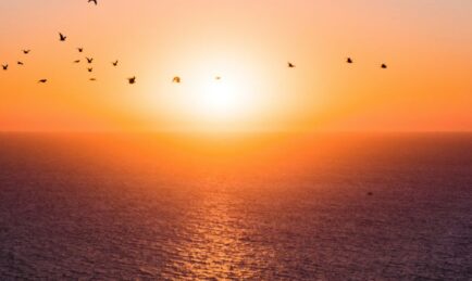 C-UAS Solutions: Smart Technologies and Mitigation Strategies