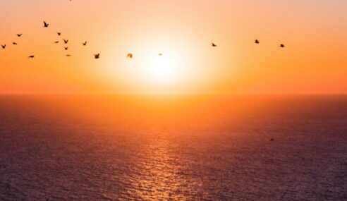 C-UAS Solutions: Smart Technologies and Mitigation Strategies