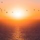 C-UAS Solutions: Smart Technologies and Mitigation Strategies