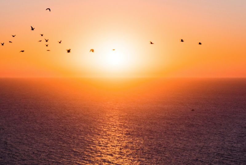 C-UAS Solutions: Smart Technologies and Mitigation Strategies
